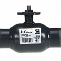 065N0182GR RJIP Premium Кран шаровой WW DN500 PN25 GF (приварной, под привод, С/П), Ридан